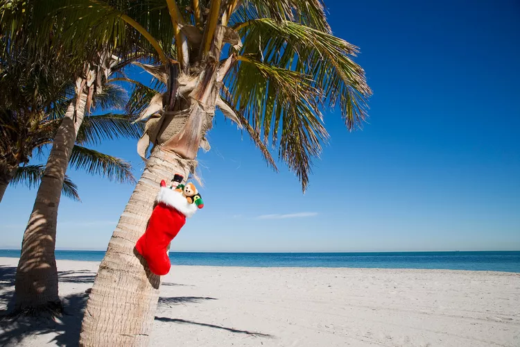 From Disney Parties to Boat Parades, Here Are 9 Ways to Celebrate Christmas in Florida