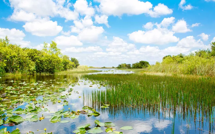 Everglades National Park-1