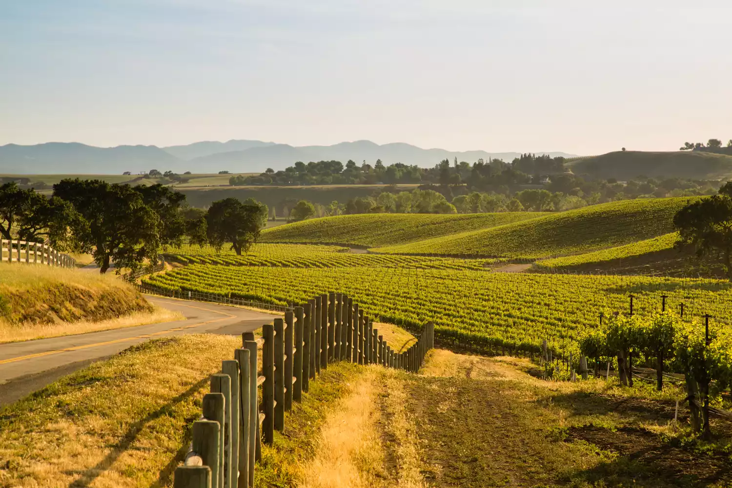 Stunning Hikes, World-Class Wine, Glamping, and Horseback Riding Can Be Found in This California Region That Must Be Visited