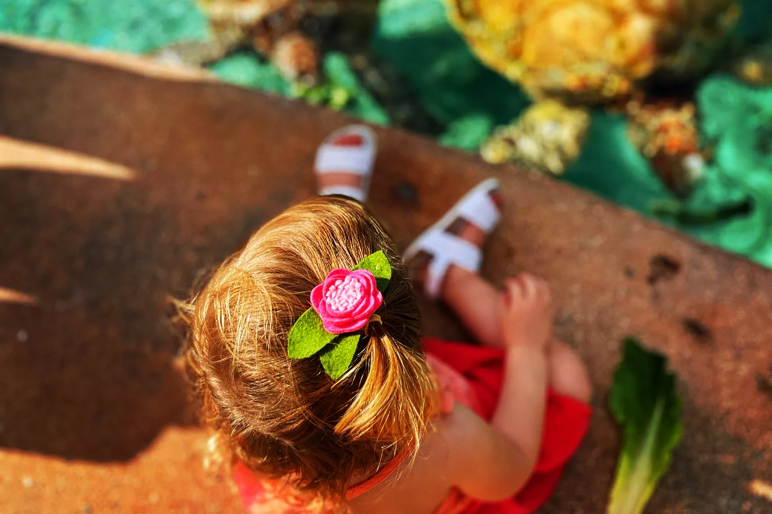 My daughter fell in love with the ocean after I took her to a coral nursery in the Bahamas.